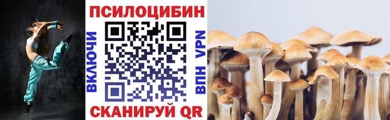Галлюциногенные грибы ЛСД  Елец 