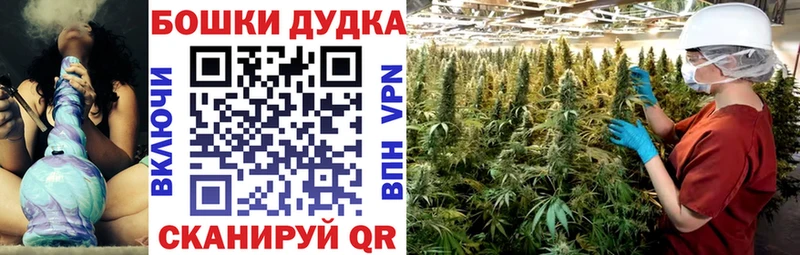 Конопля ГИДРОПОН  Елец 
